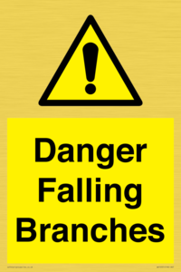 Danger Falling Branches